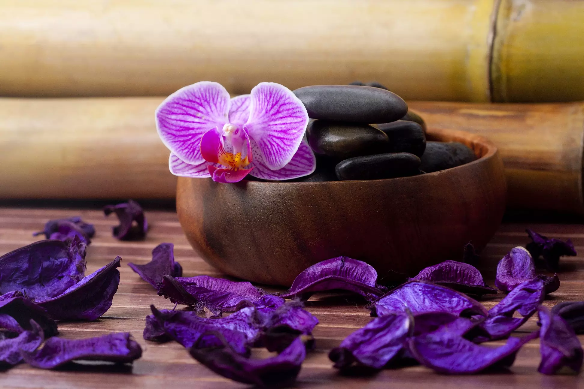 Warum versuchen Sie es nicht mal mit einem Massagesalon?